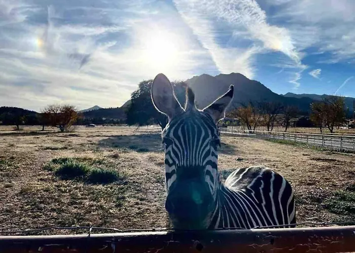 Zebra Ranch 16-guest Compound Mtn Vuspapkl Bal * Prescott