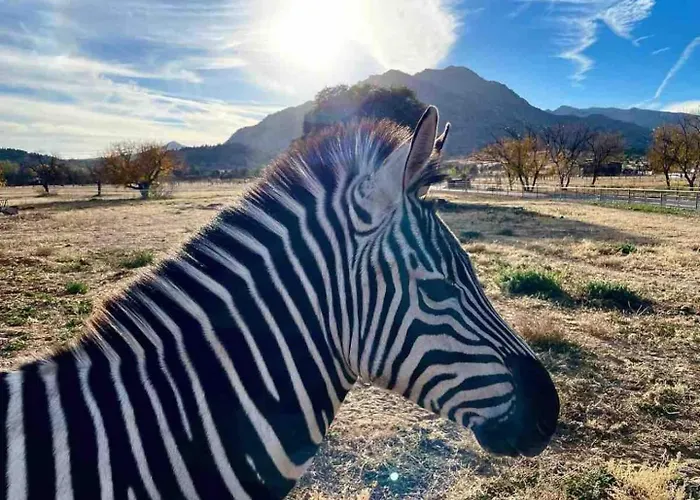 Zebra Ranch 16-guest Compound Mtn Vuspapkl Bal Villa Prescott