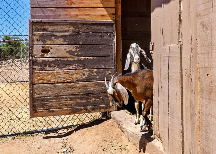 Villa Zebra Ranch 16-guest Compound Mtn Vuspapkl Bal
