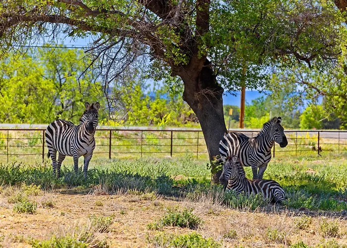 Villa Zebra Ranch 16-guest Compound Mtn Vuspapkl Bal Prescott